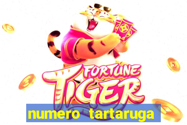 numero tartaruga jogo do bicho